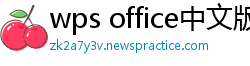 wps office中文版